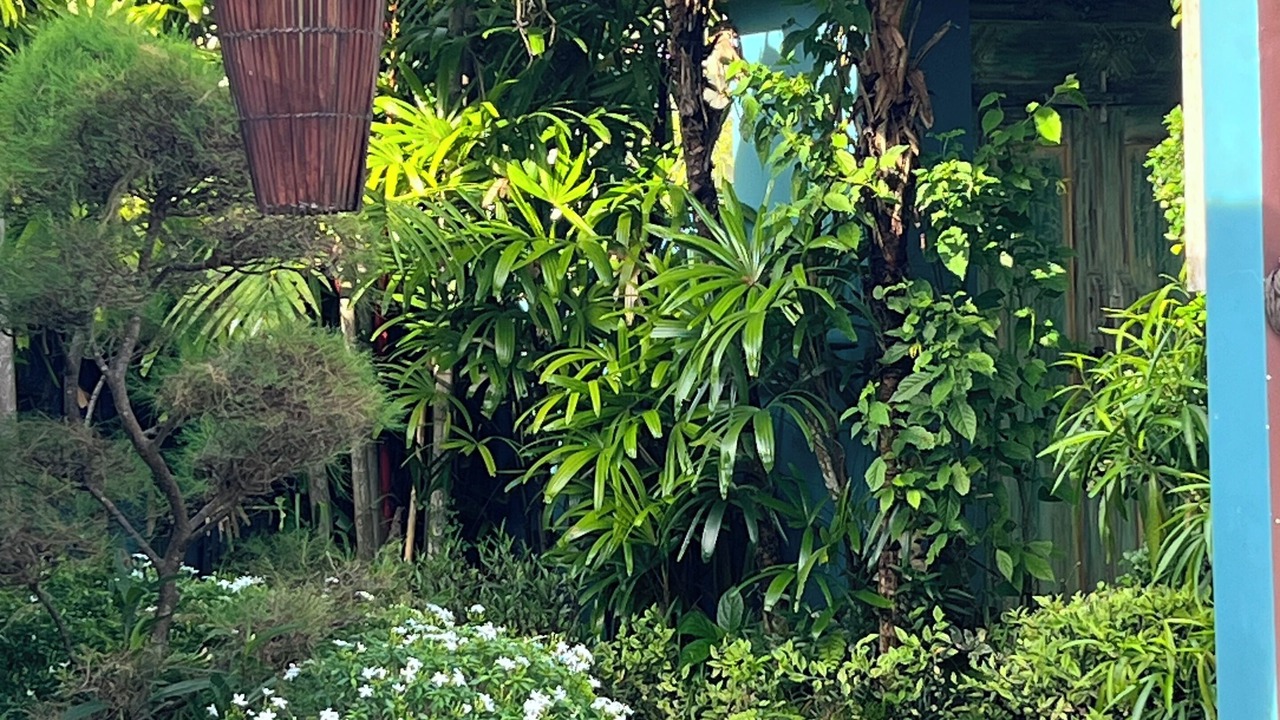 Photo of Outdoor in Padonan