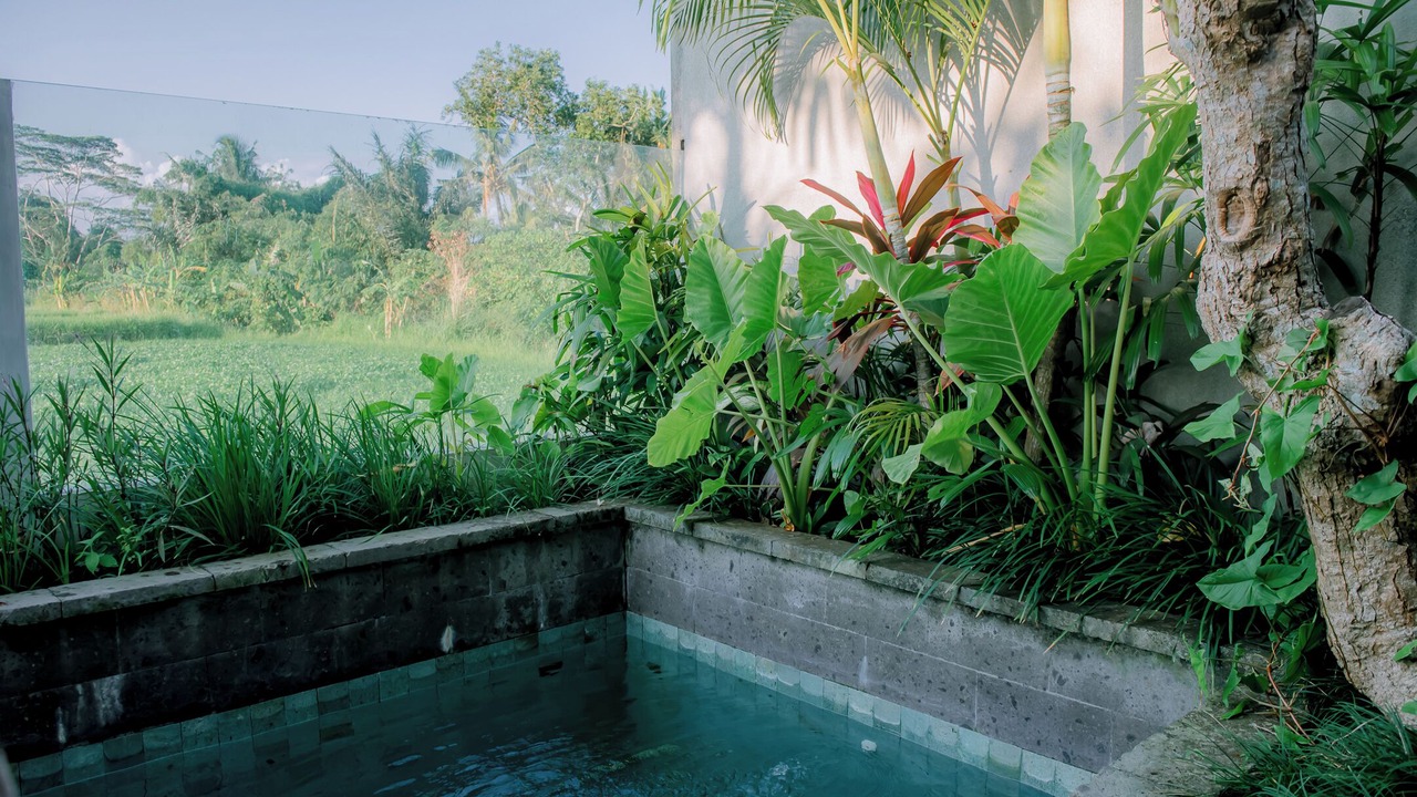 Photo of Outdoor in Lodtunduh