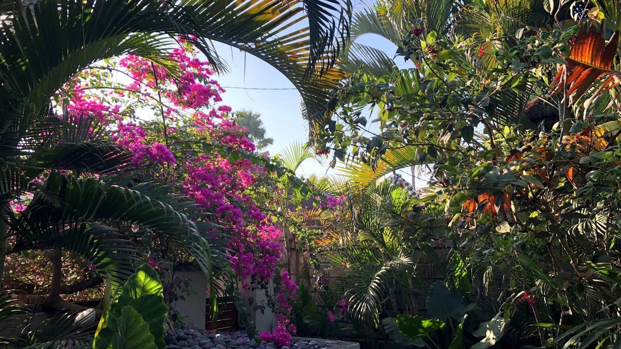 Photo of Outdoor in Kerobokan