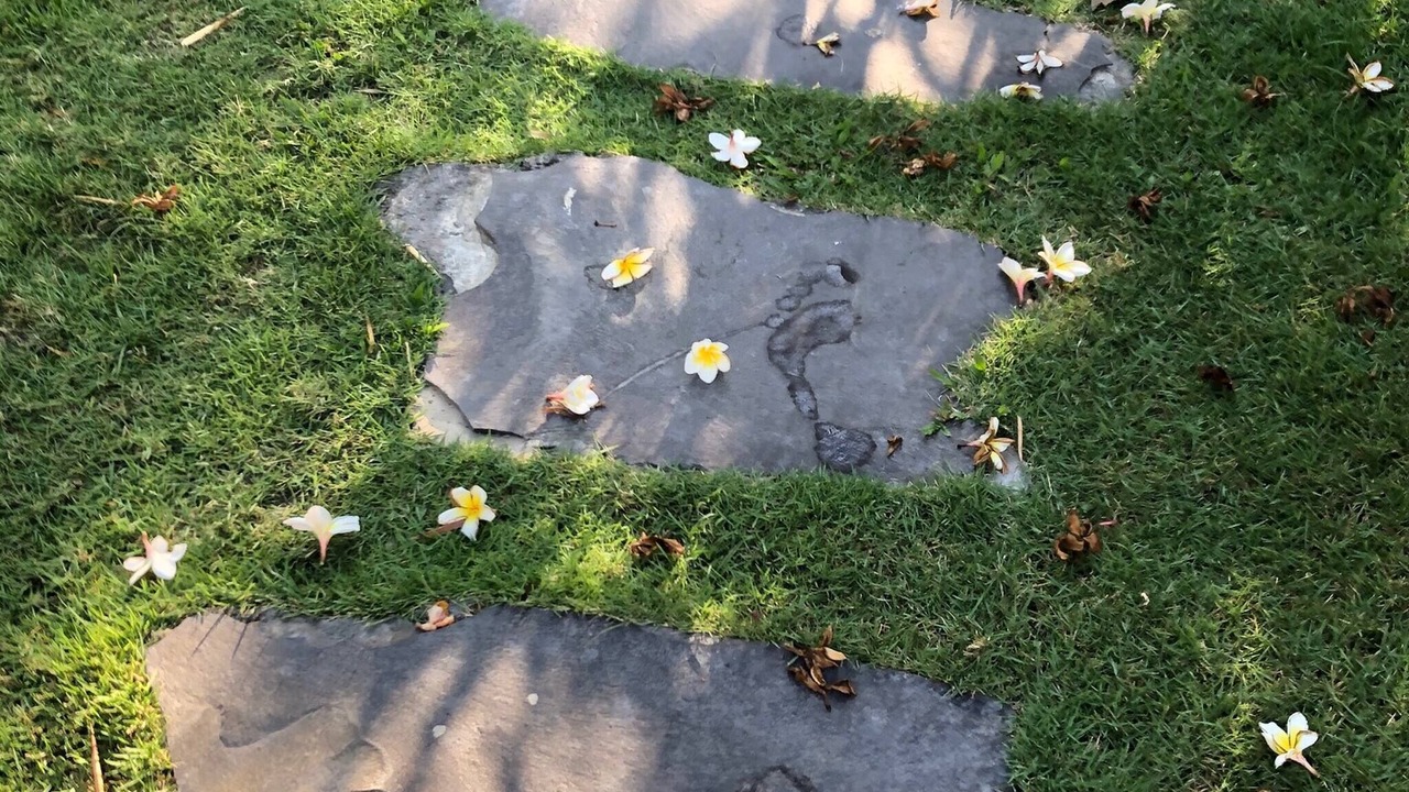 Photo of Outdoor in Kerobokan