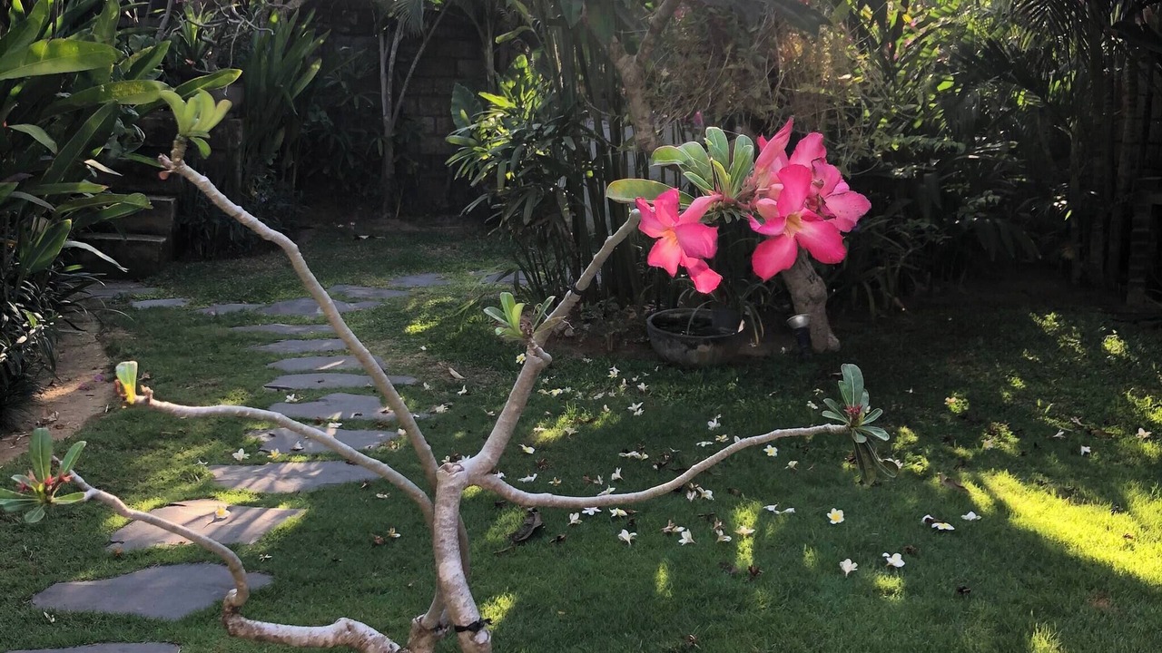 Photo of Outdoor in Kerobokan
