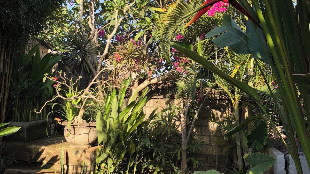 Photo of Outdoor in Kerobokan