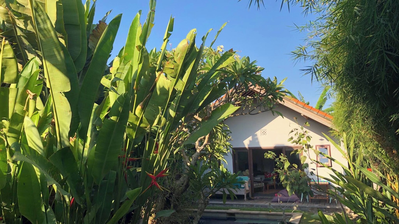 Photo of Outdoor in Kerobokan