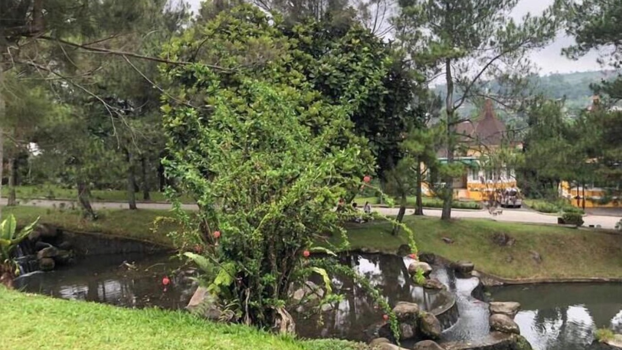 Photo of Outdoor in Cipanas