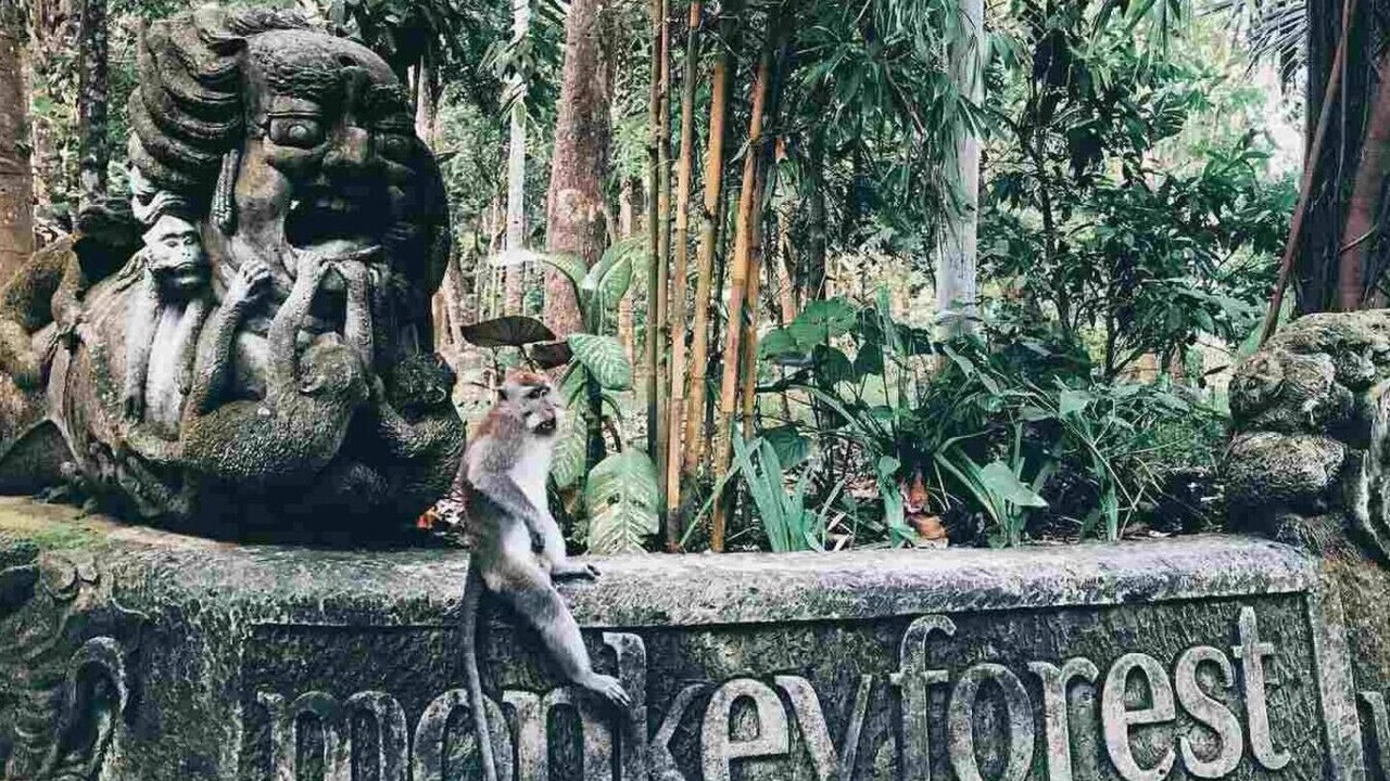 Photo of Outdoor in Lodtunduh