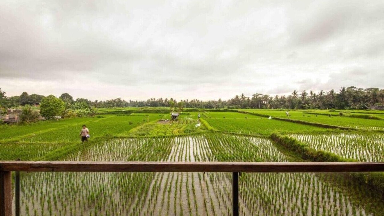 Photo of Others in Lodtunduh