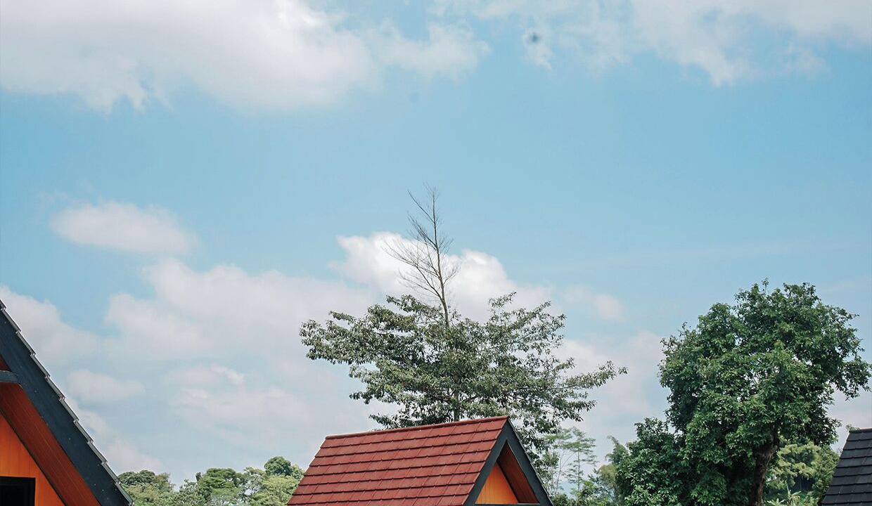 Photo of Outdoor in Wonosobo