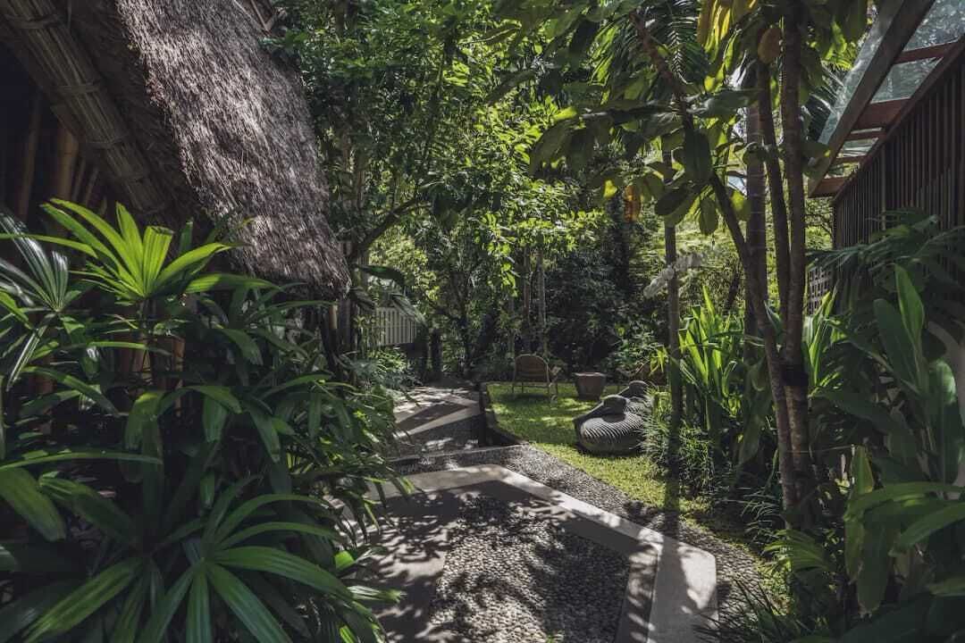 Photo of Outdoor in Peliatan