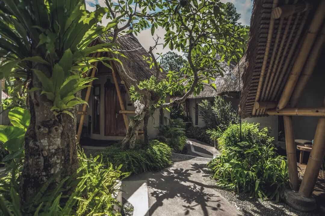 Photo of Outdoor in Peliatan