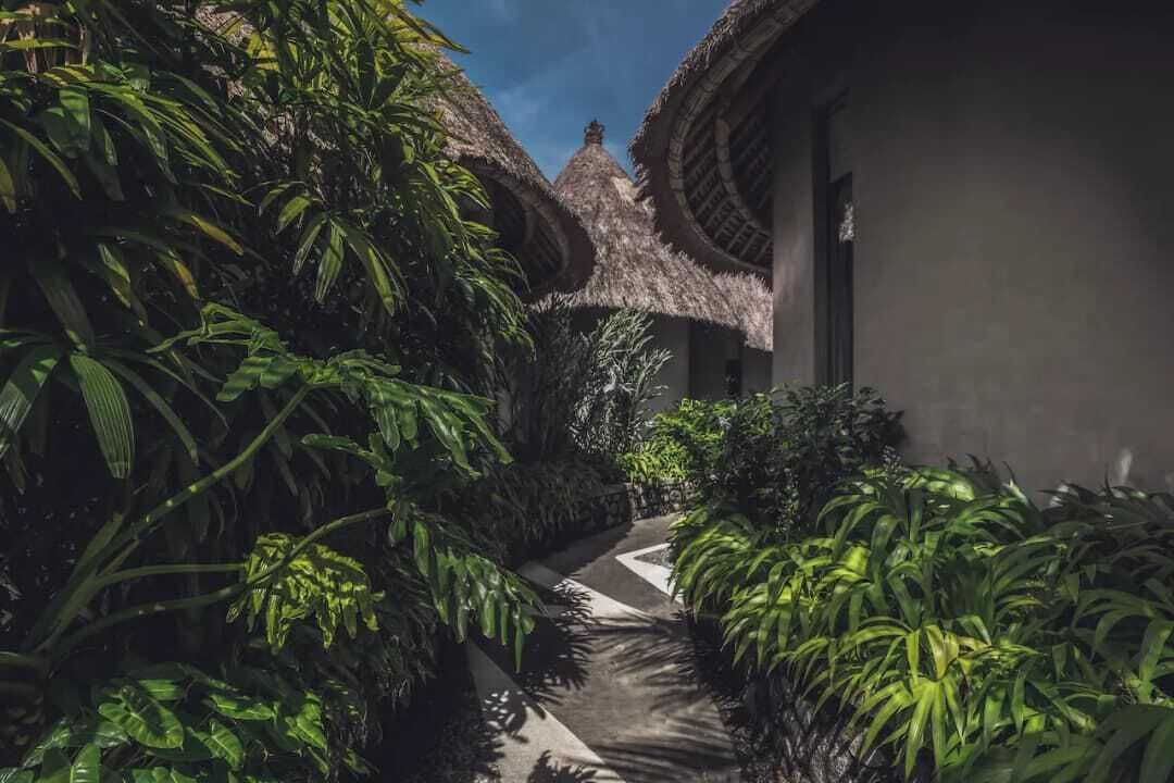 Photo of Outdoor in Peliatan