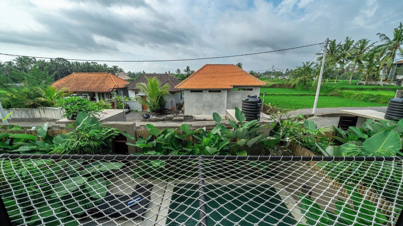 Photo of Outdoor in Pejeng Kawan