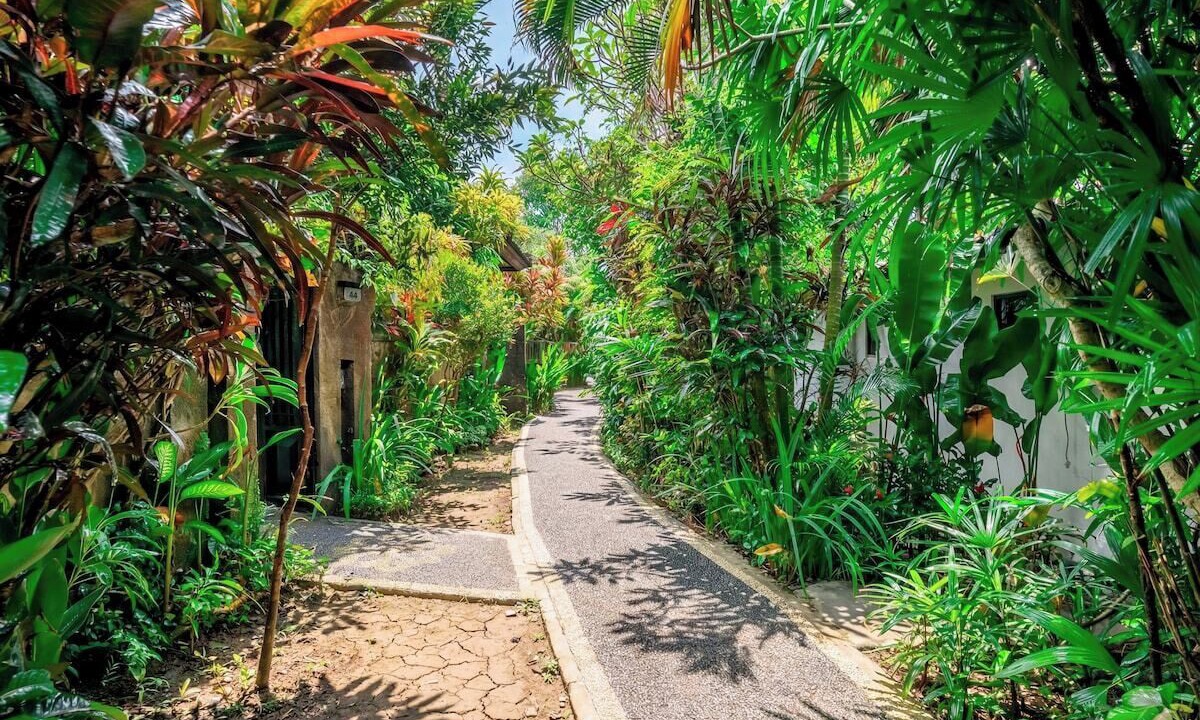 Photo of Outdoor in Penestanan