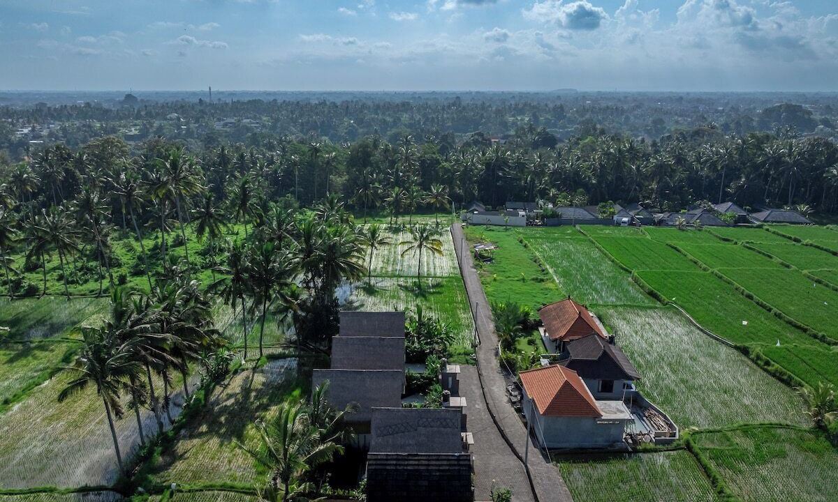 Photo of Outdoor in Pejeng Kawan