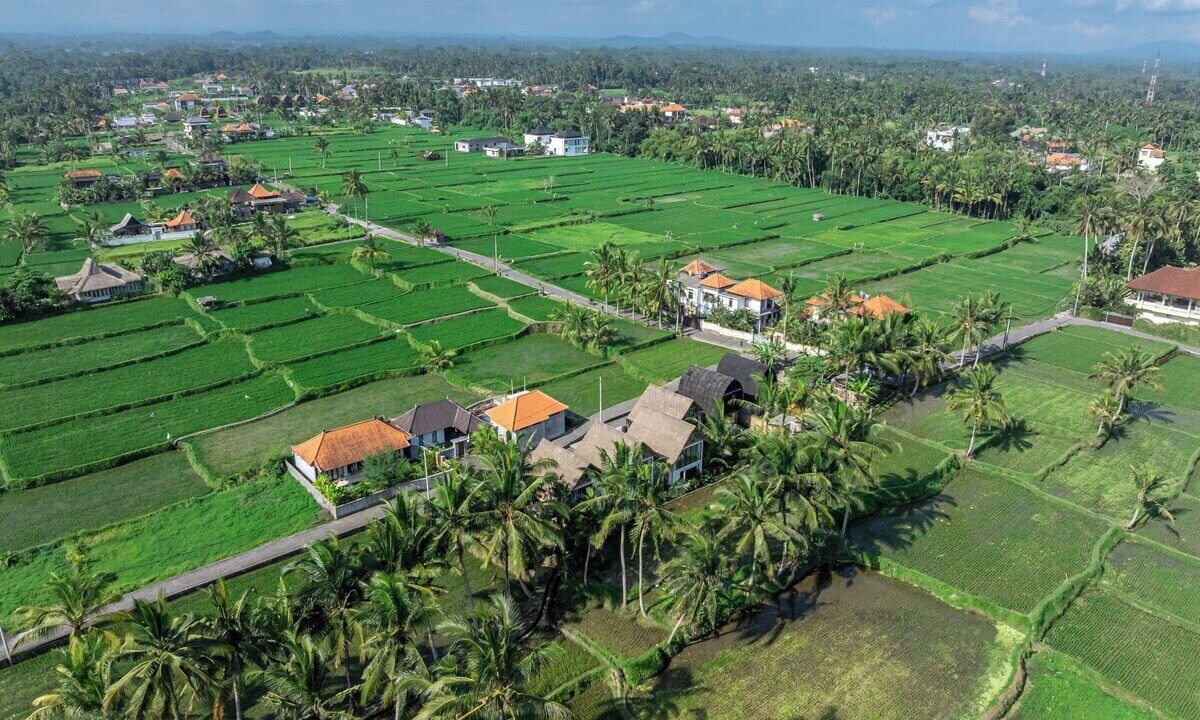 Photo of Outdoor in Pejeng Kawan