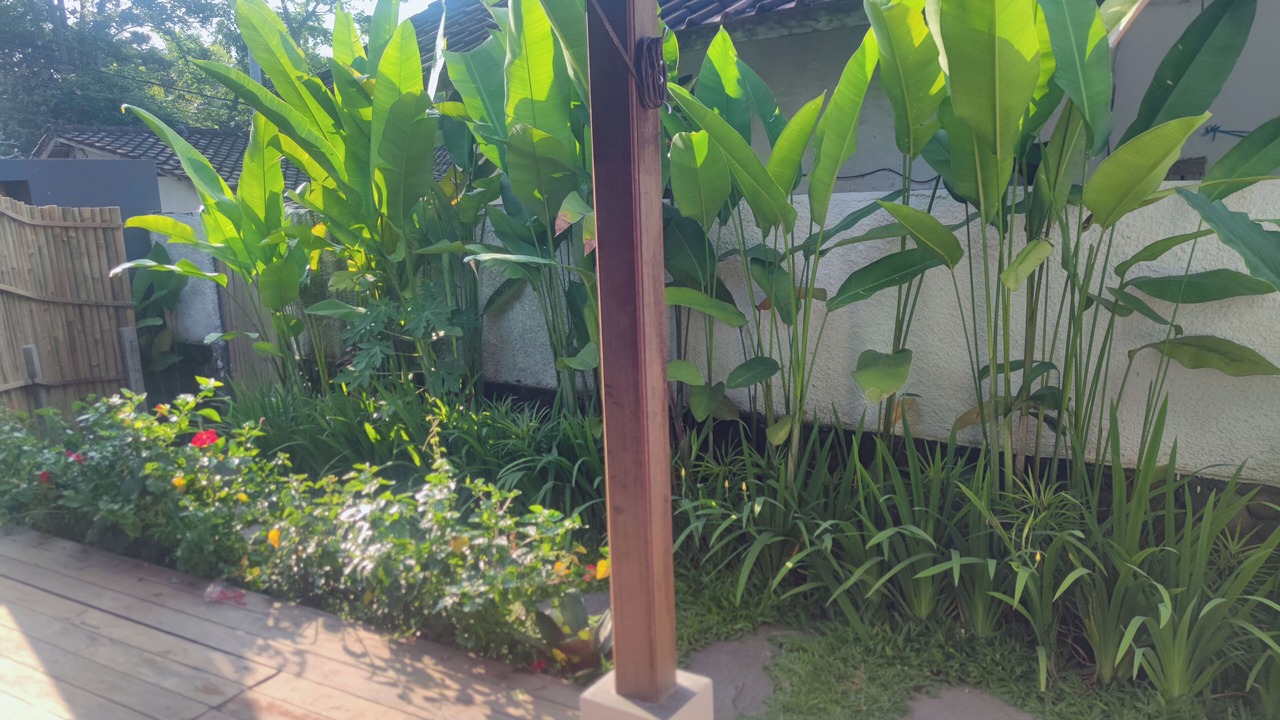 Photo of Outdoor in Mas