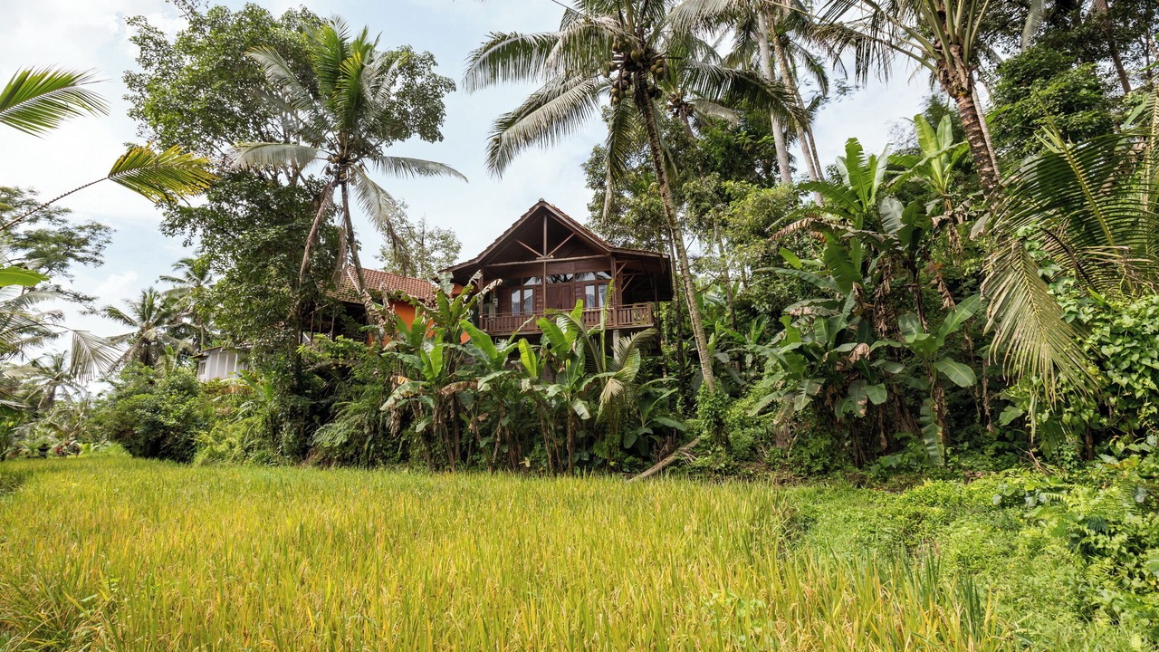 Photo of Bedroom in Payangan