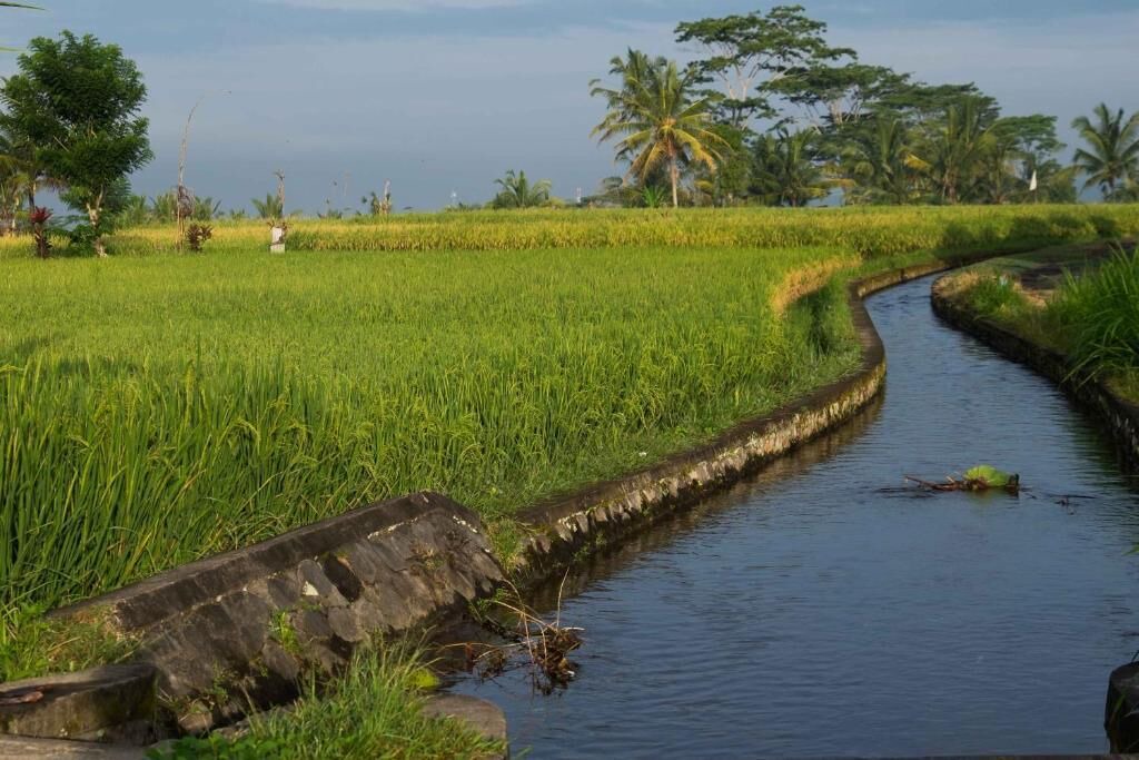 Photo of Outdoor in Tampaksiring