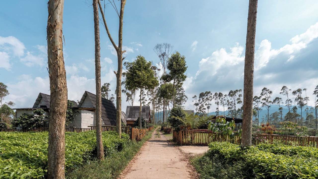 Photo of Outdoor in Pangalengan