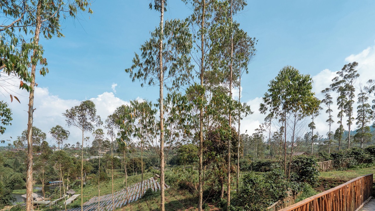 Photo of Outdoor in Pangalengan