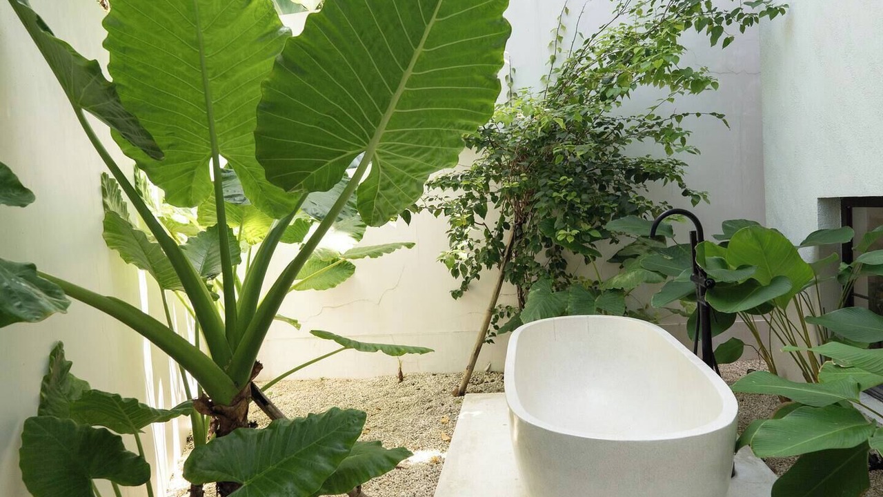 Photo of Patio Balcony in Munggu