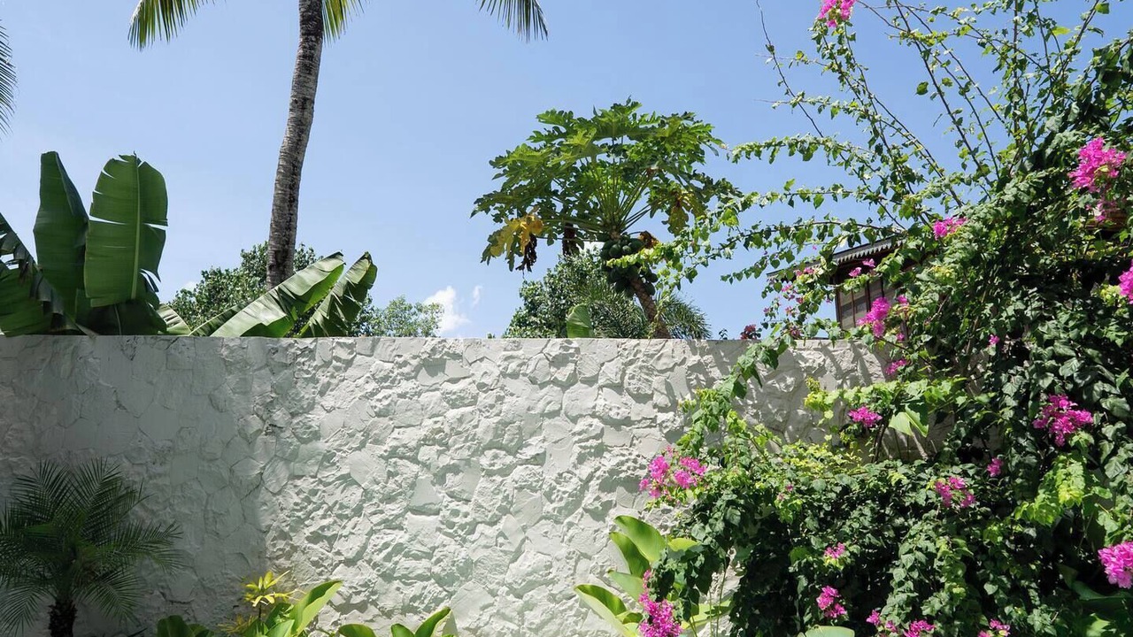 Photo of Outdoor in Munggu