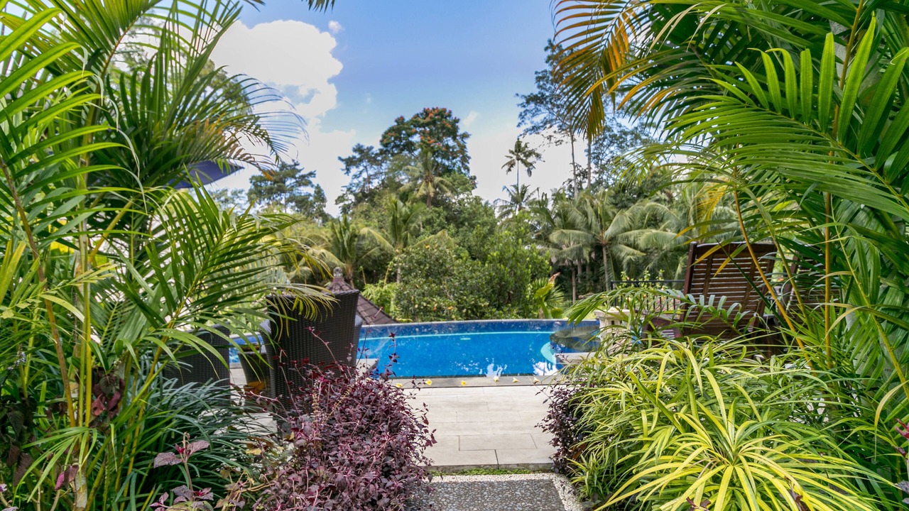 Photo of Outdoor in Peliatan