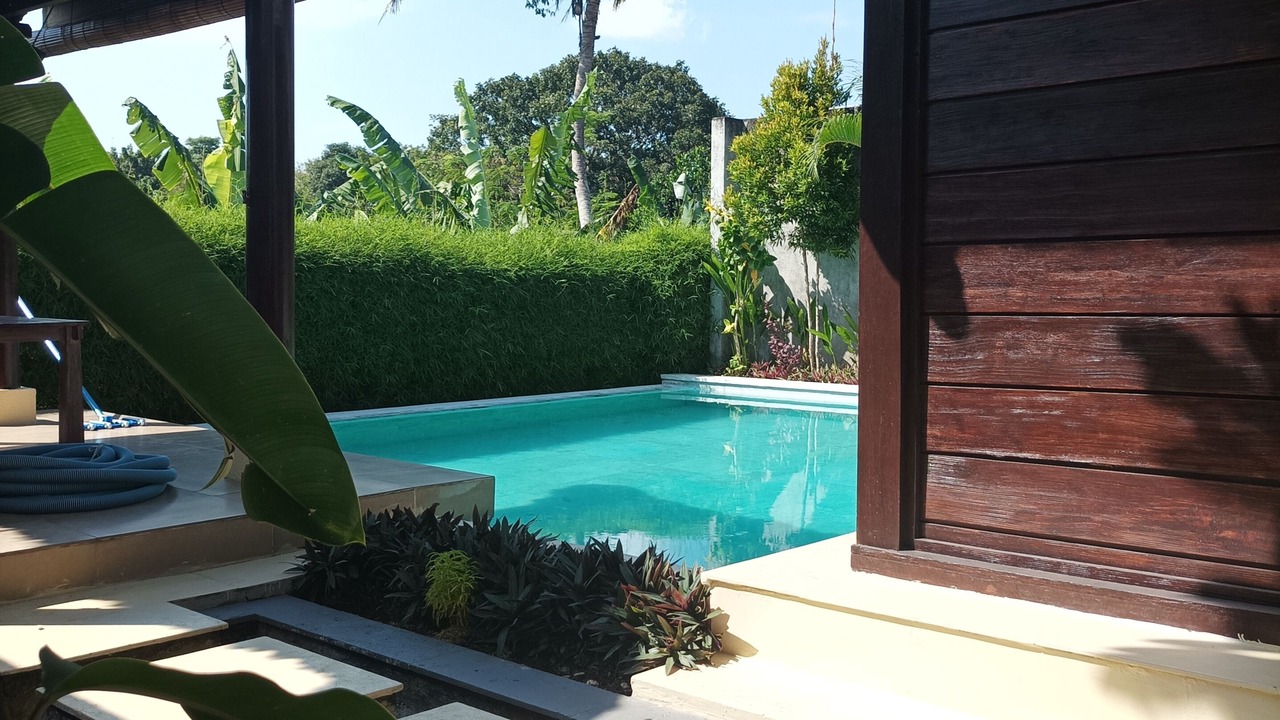 Photo of Livingroom in Penatih