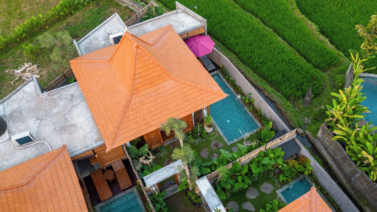 Photo of Outdoor in Peliatan
