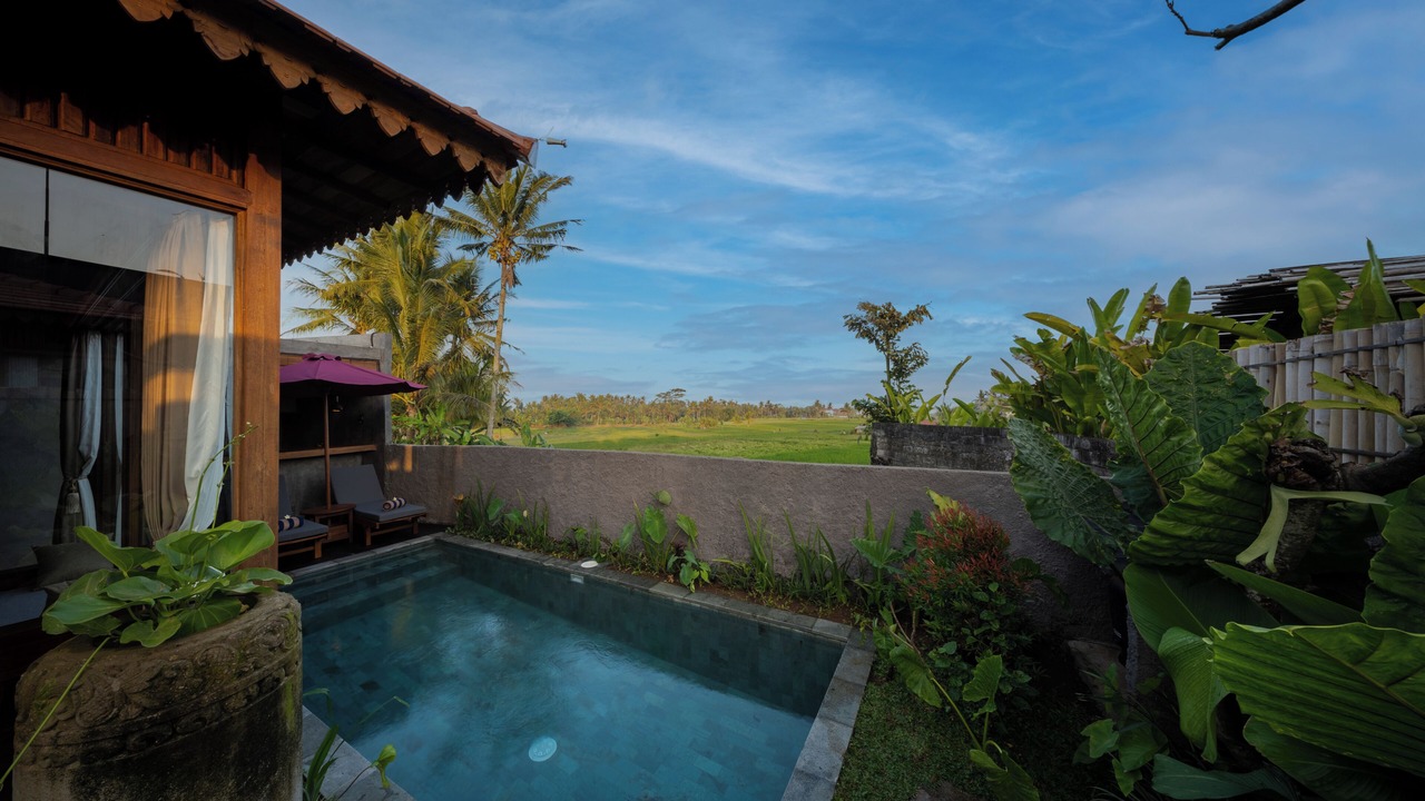 Photo of Outdoor in Peliatan