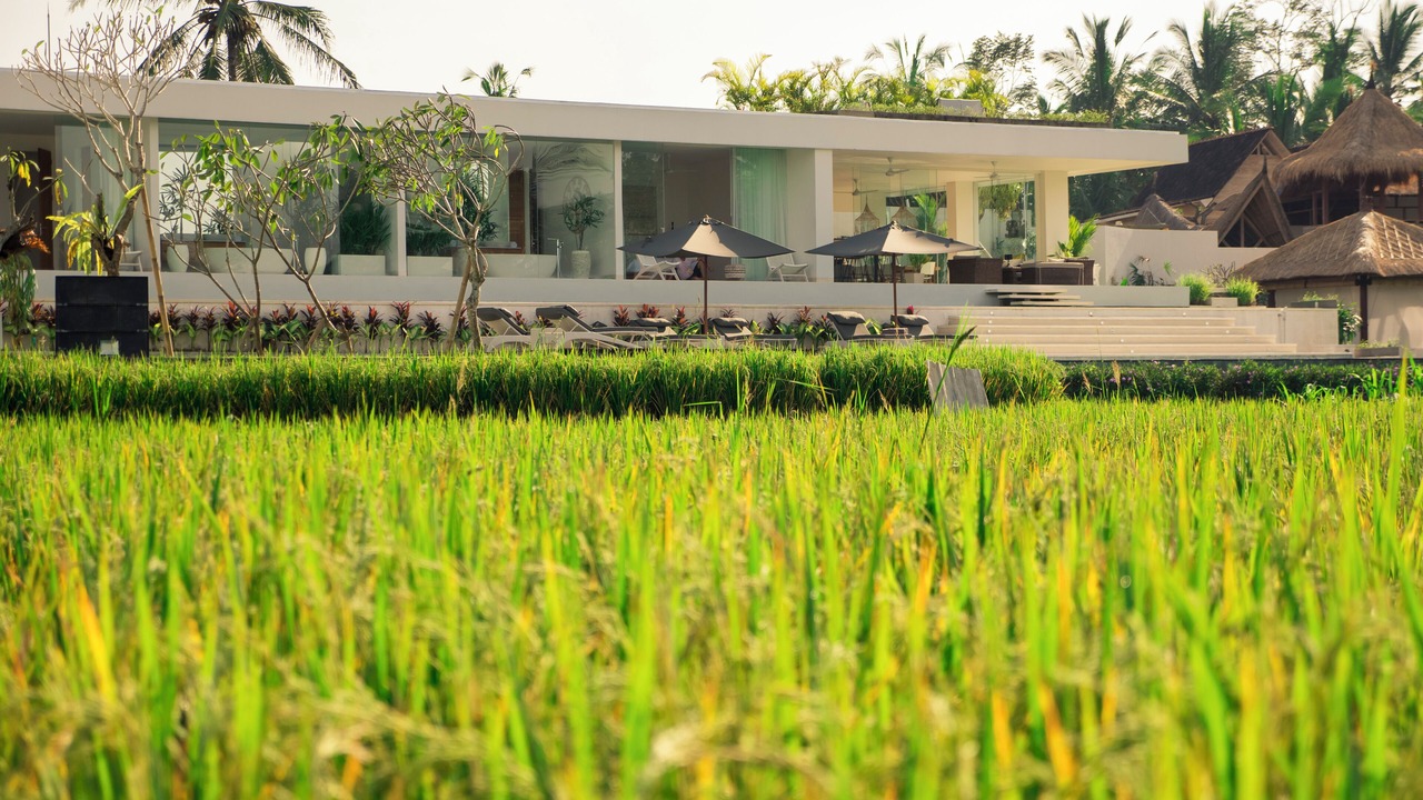 Photo of Outdoor in Pejeng Kawan