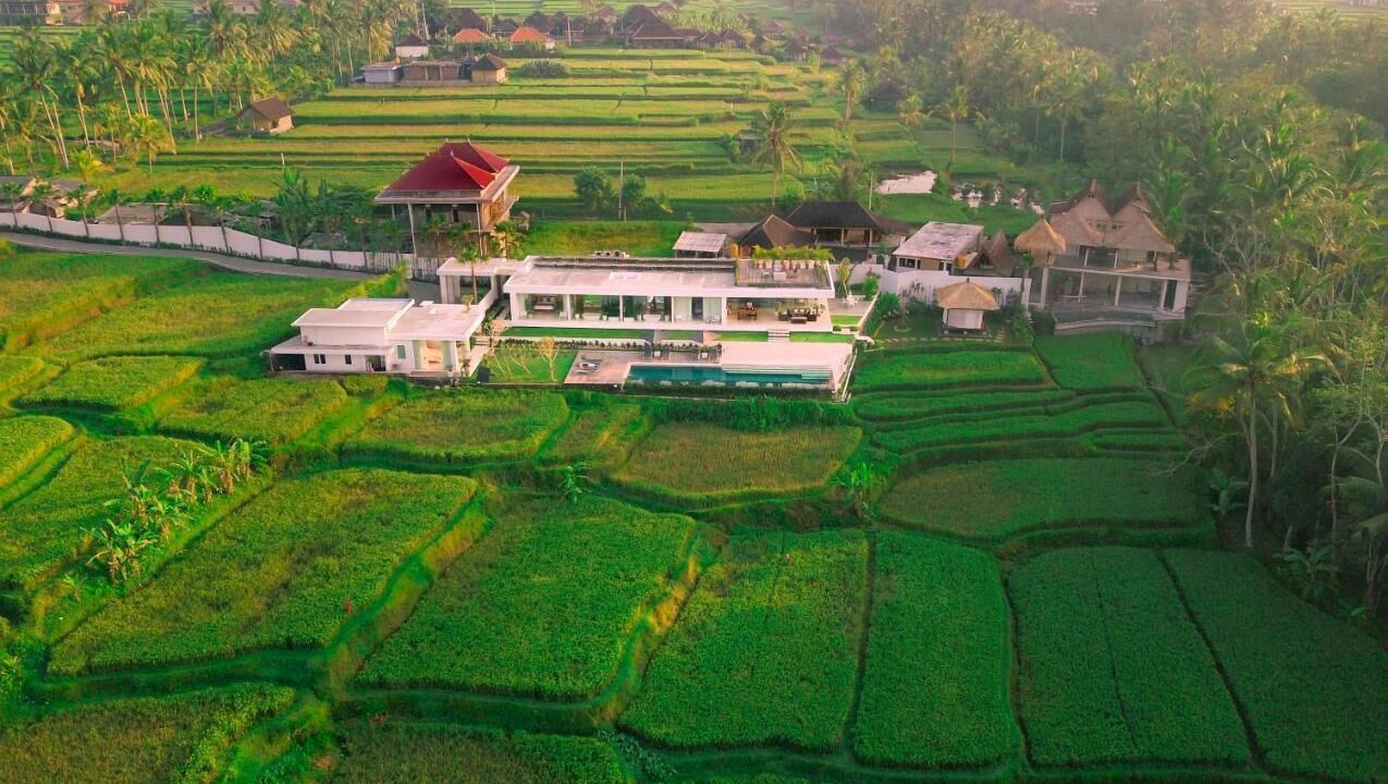 Photo of Outdoor in Pejeng Kawan