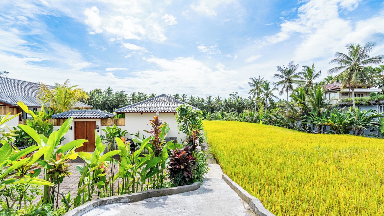 Photo of Outdoor in Melayang
