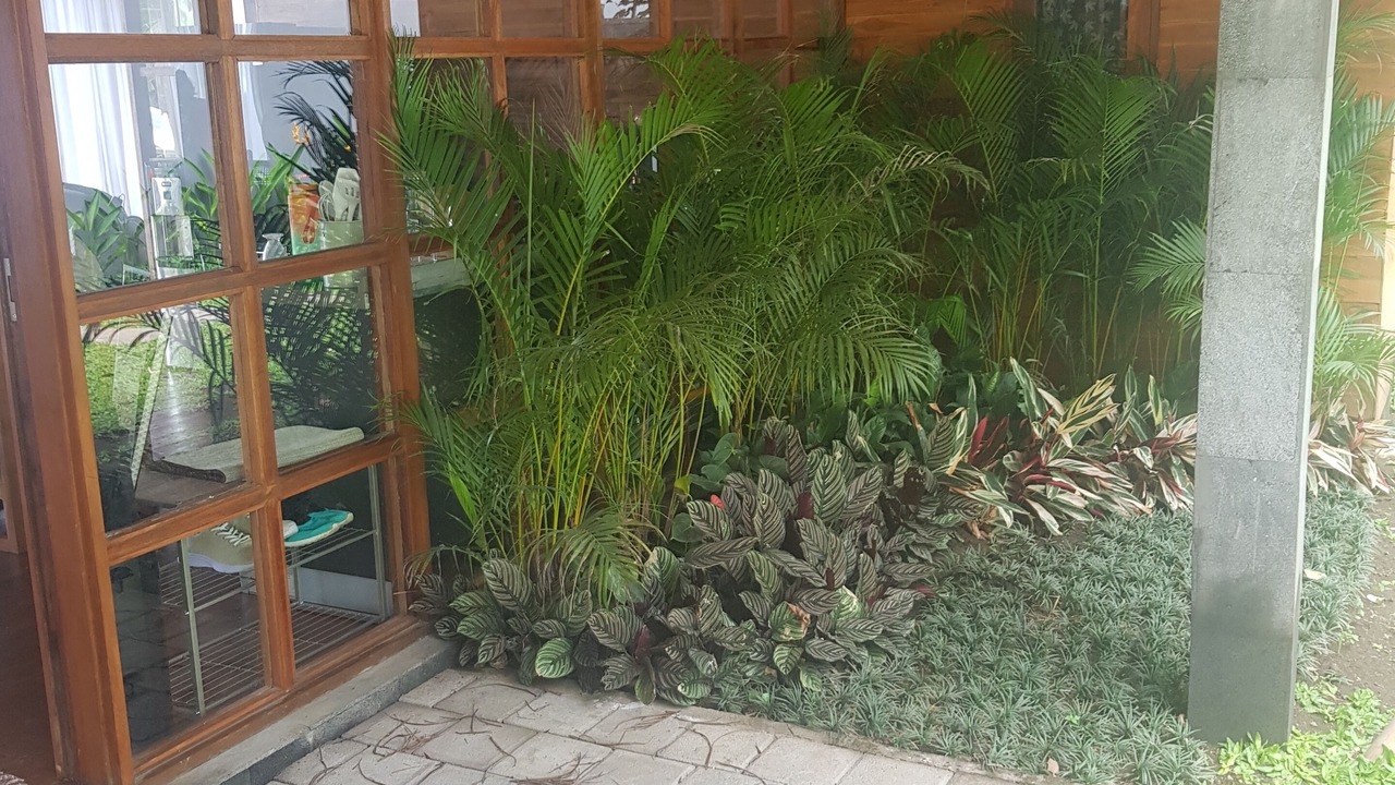 Photo of Outdoor in Sambahan