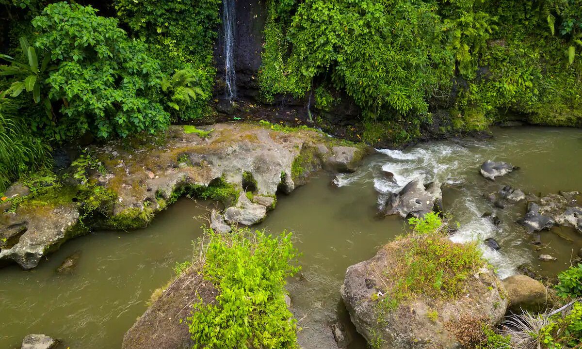 Photo of Outdoor in Kemenuh