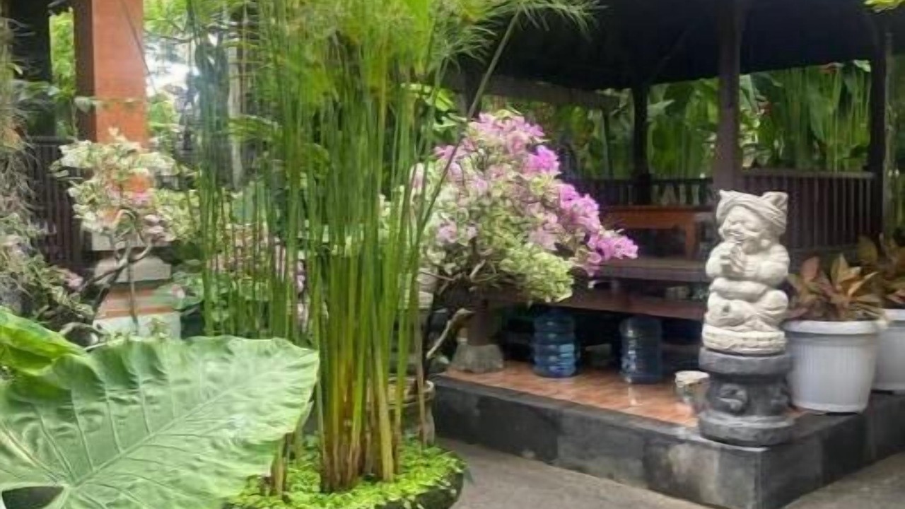 Photo of Outdoor in Penestanan
