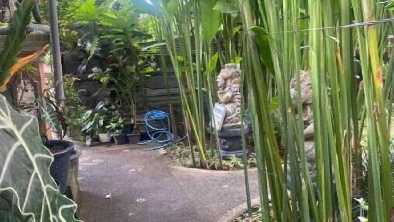 Photo of Outdoor in Penestanan