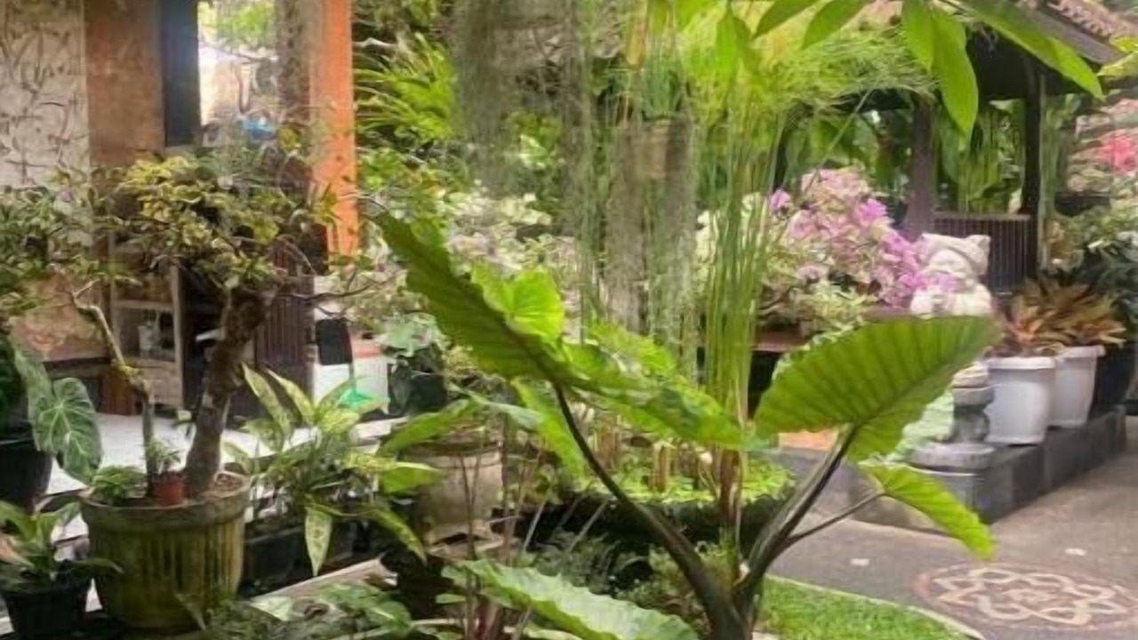Photo of Outdoor in Penestanan