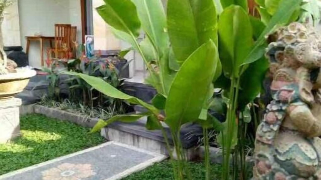 Photo of Outdoor in Penestanan