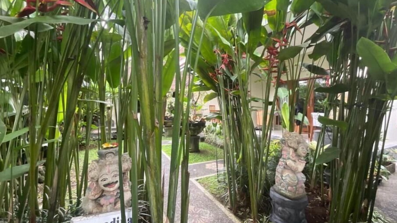 Photo of Outdoor in Penestanan