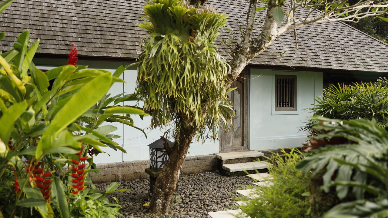 Photo of Outdoor in Bongkasa Pertiwi