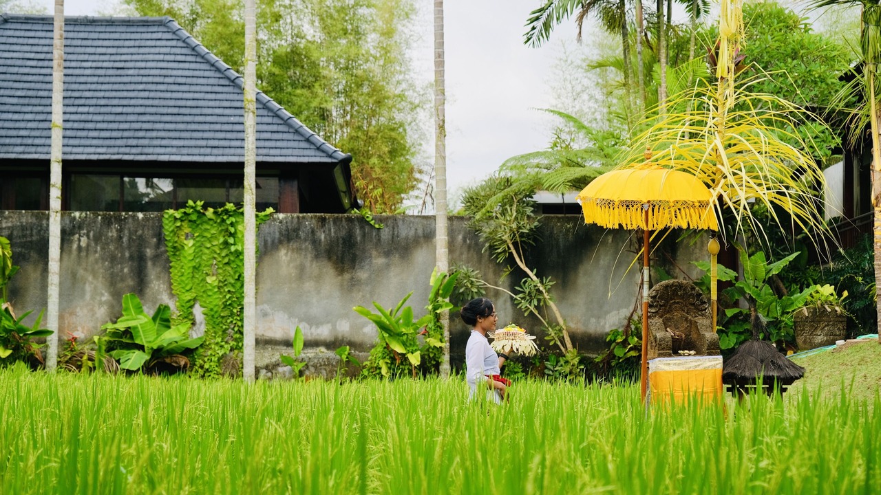 Photo of Outdoor in Nyuh Kuning