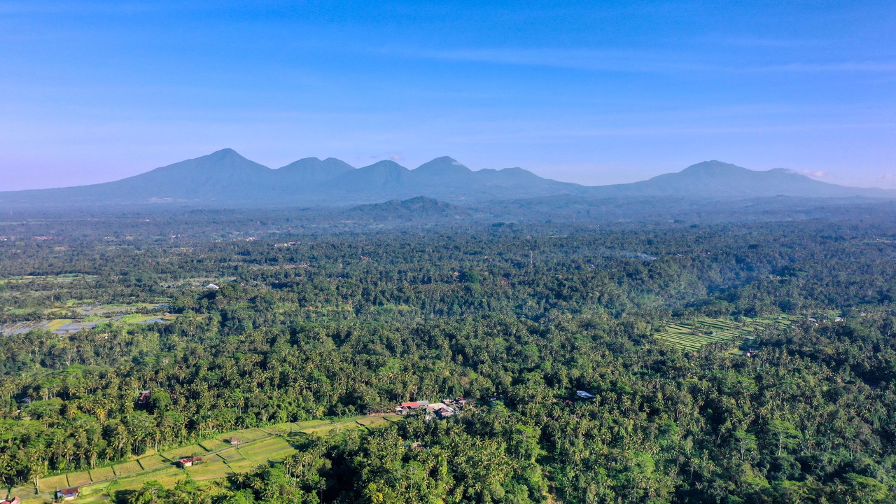 Photo of Outdoor in Payangan