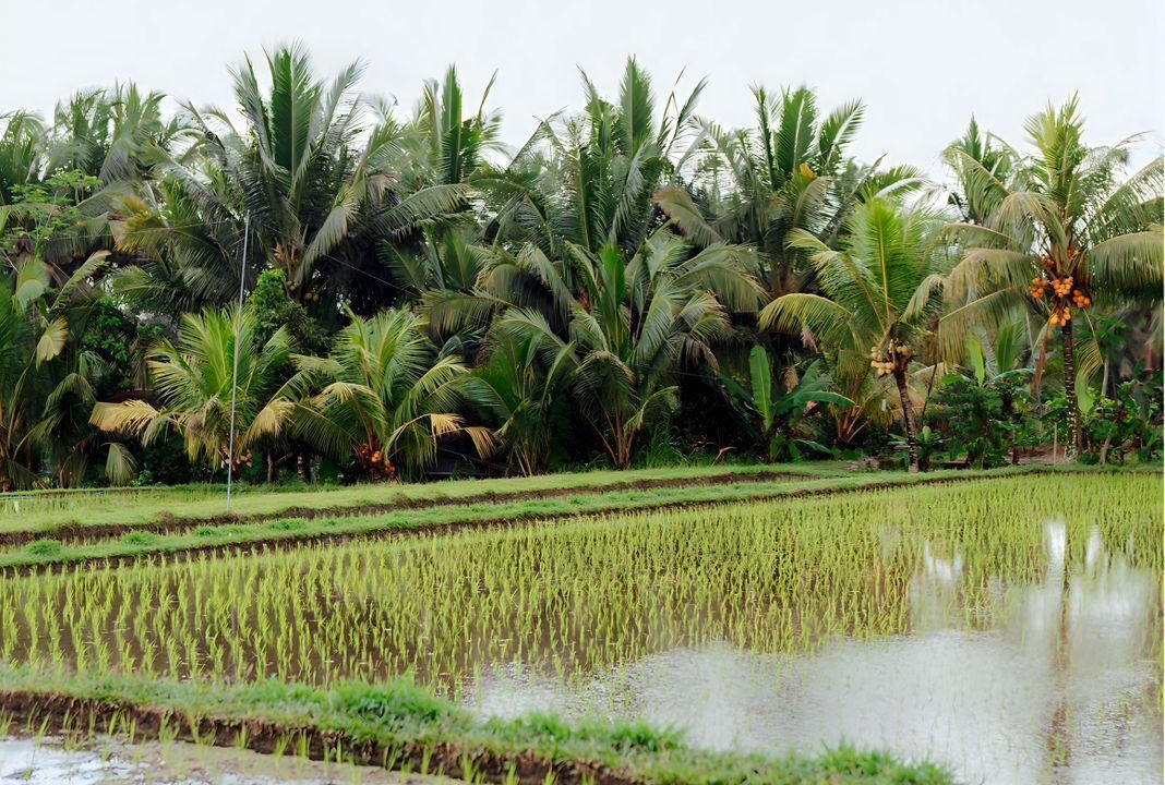 Photo of Others in Sambahan