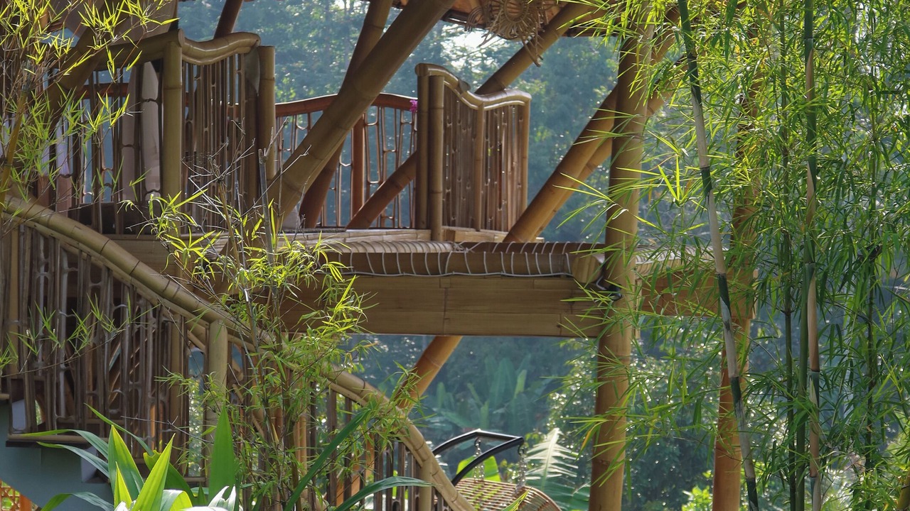 Photo of Outdoor in Selat