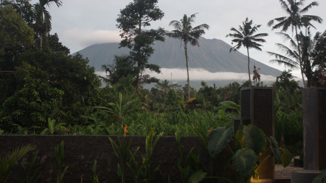 Photo of Outdoor in Selat