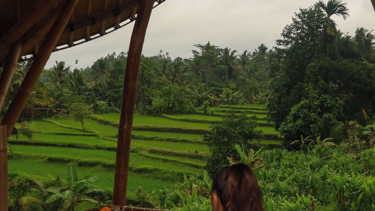 Photo of Outdoor in Selat