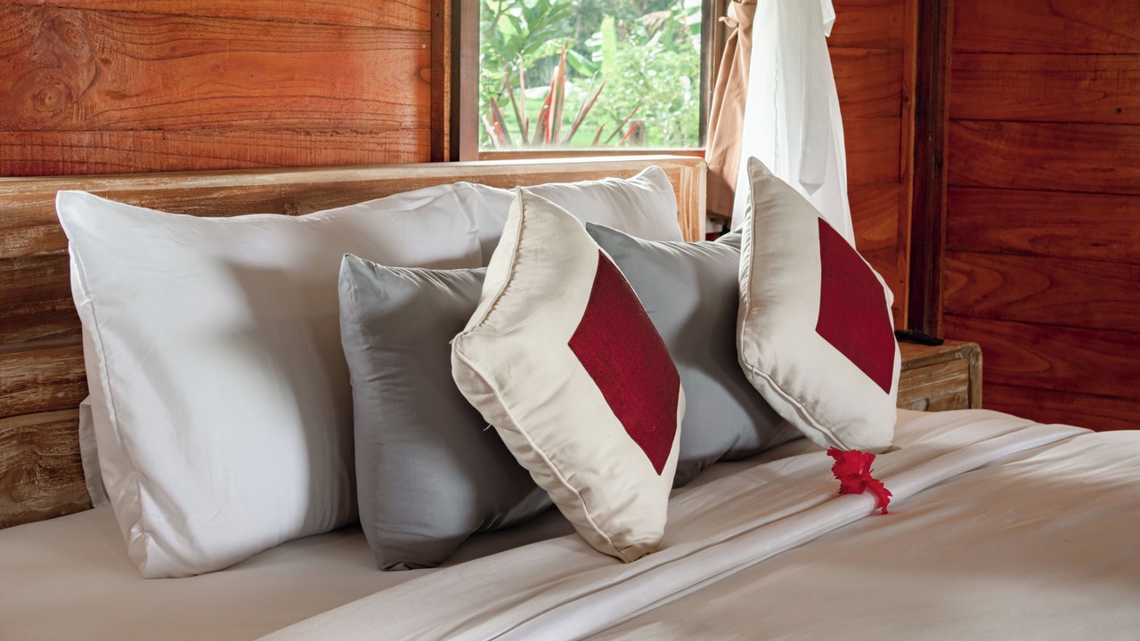 Photo of Bedroom in Taro
