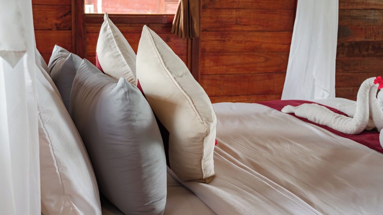 Photo of Bedroom in Taro