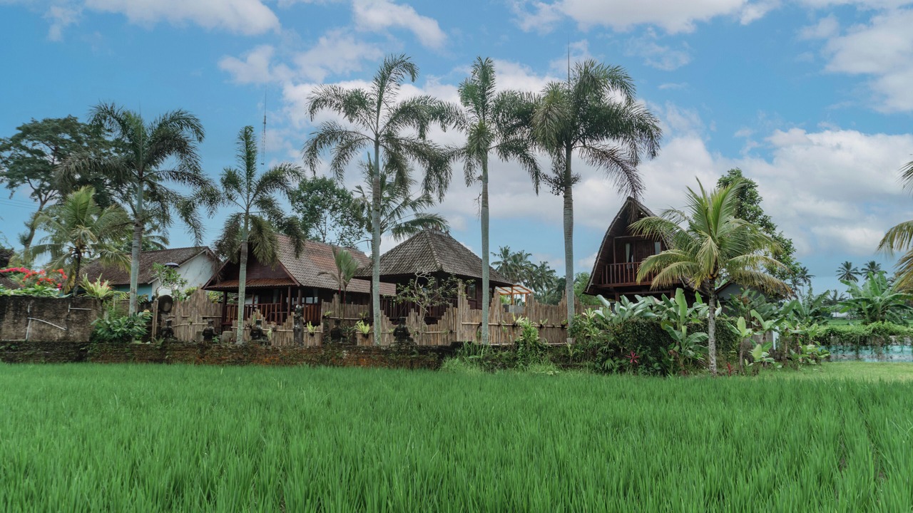 Photo of Outdoor in Taro