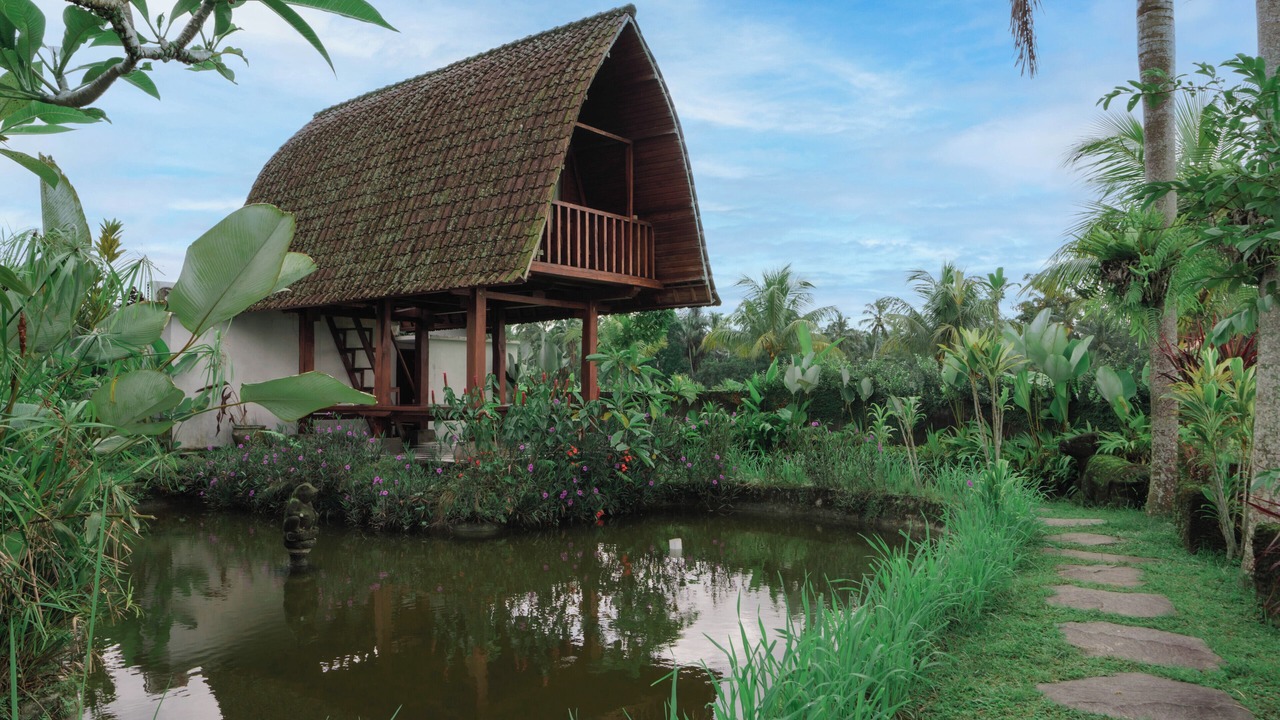 Photo of Outdoor in Taro